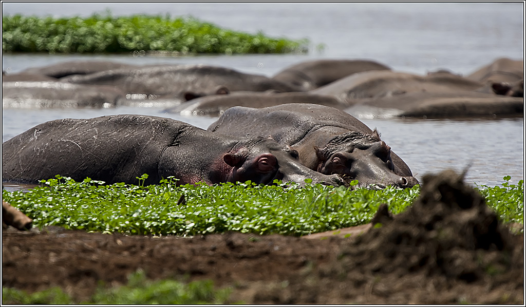 Ein Bad f r die Sch nheit